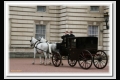 London 01 (15).jpg